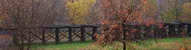 elevated railroad tracks in autumn